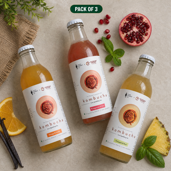 Gut Friendly Kombucha Pack of 3