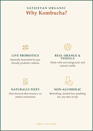 Organic Kombucha Orange Vanilla 250ml