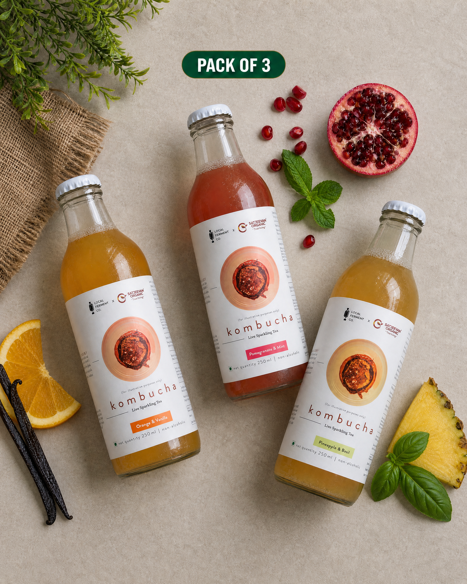 Gut Friendly Kombucha Pack of 3