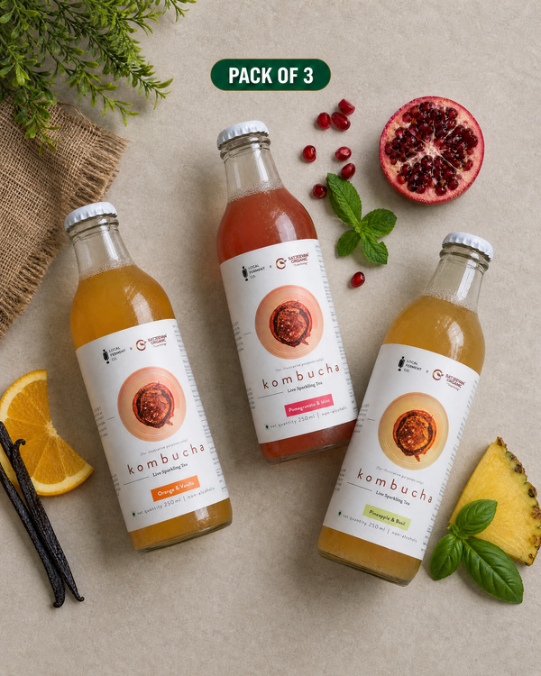 Gut Friendly Kombucha Pack of 3
