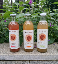 Gut Friendly Kombucha Pack of 3
