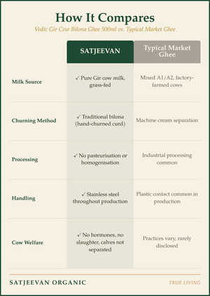 Satjeevan Organic Vedic Gir Cow Bilona Ghee 500ml