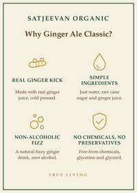 Organic Ginger Ale Classic 250ml