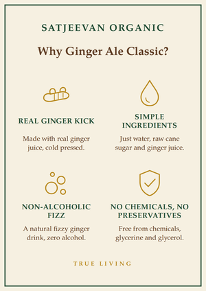 Organic Ginger Ale Classic 250ml