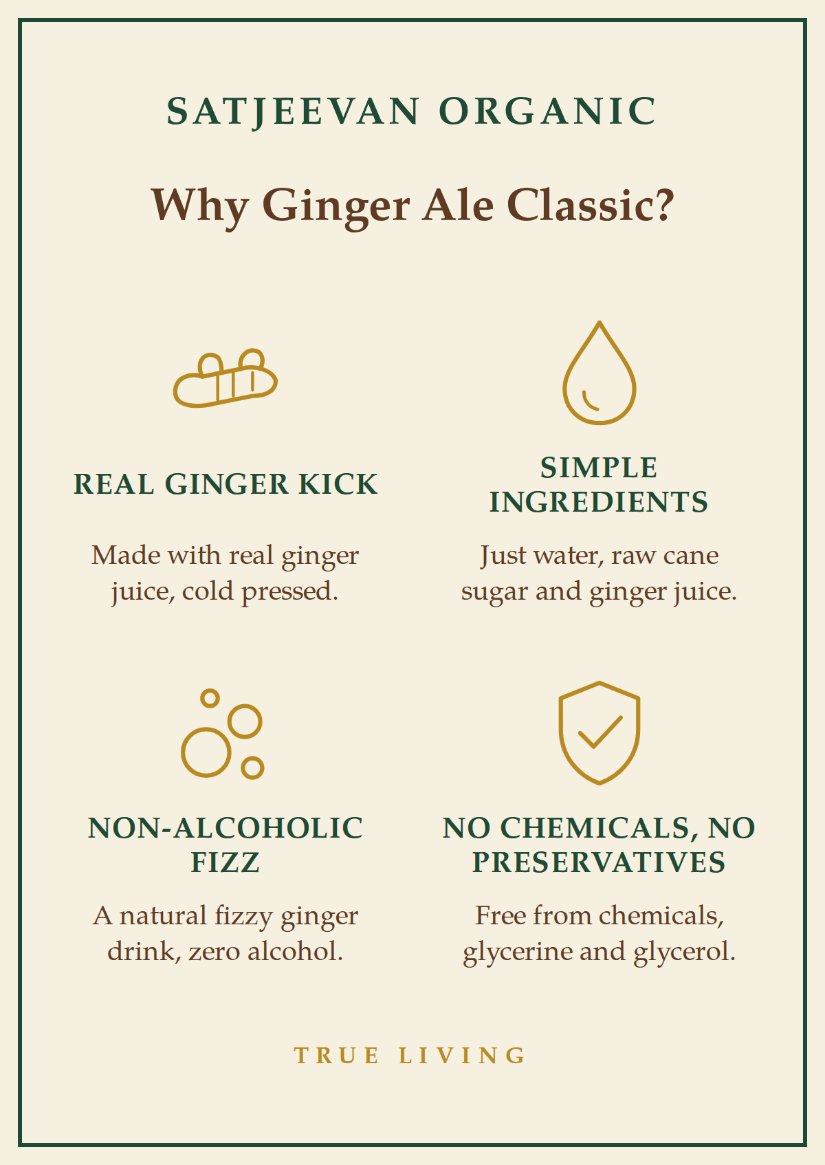Organic Ginger Ale Classic 250ml
