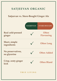 Organic Ginger Ale Classic 250ml