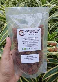 Organic Golden Munakka Raisins 200g