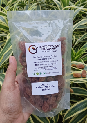 Organic Golden Munakka Raisins 200g