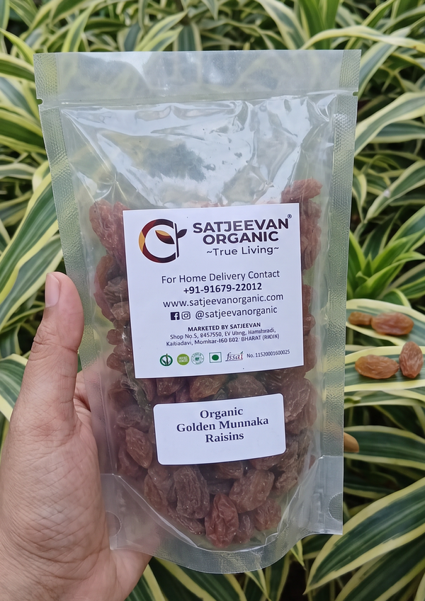 Organic Golden Munakka Raisins 200g