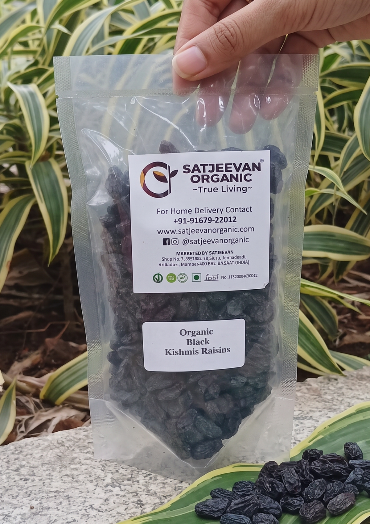 Organic Black Kishmis Raisins 200g