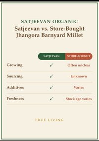 Organic Jhangora Barnyard Millet 500g