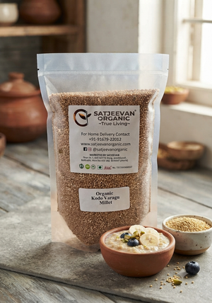 Organic Kodo Varagu Millet 500g