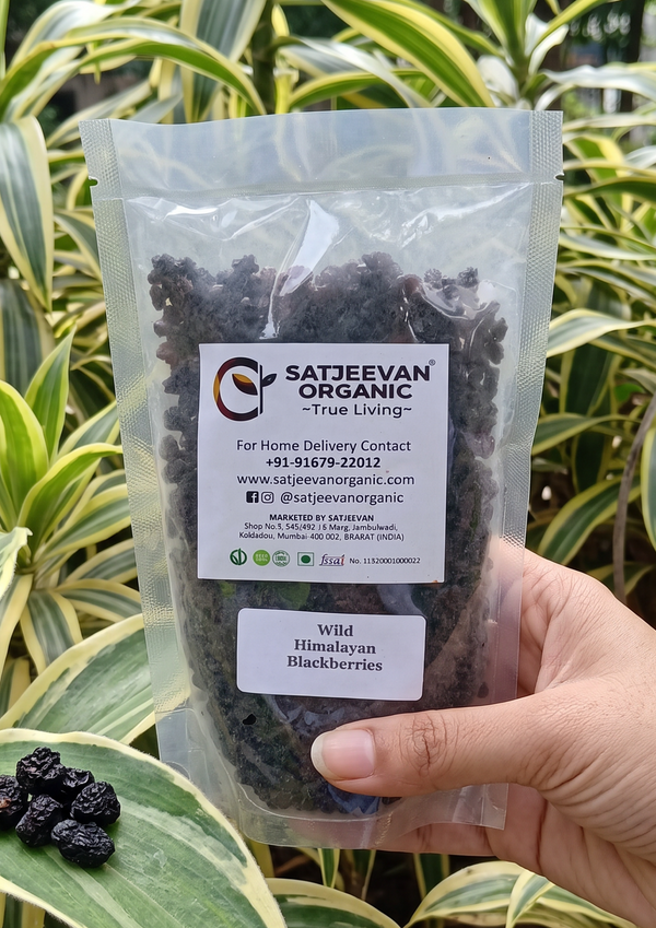 Wild Himalayan Blackberries 200g