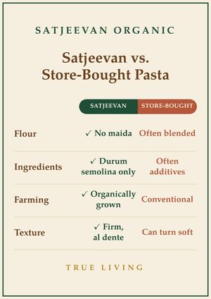 Organic Pasta Penne Durum Semolina 500g