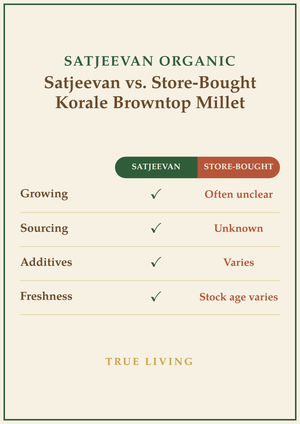 Organic Korale Browntop Millet 500g