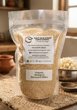 Organic Jhangora Barnyard Millet 500g