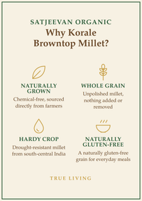 Organic Korale Browntop Millet 500g