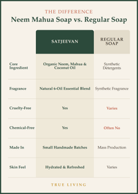 Organic Neem Mahua Soap 100g